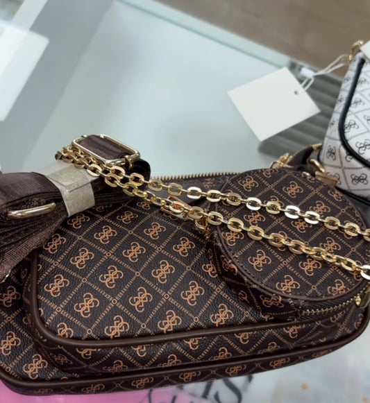 Bolso guess